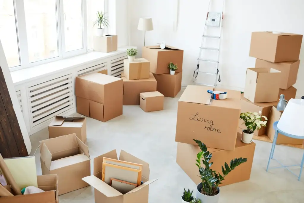 Umzugskartons und Pflanzen in einer hellen Wohnung beim Privatumzug in Singen